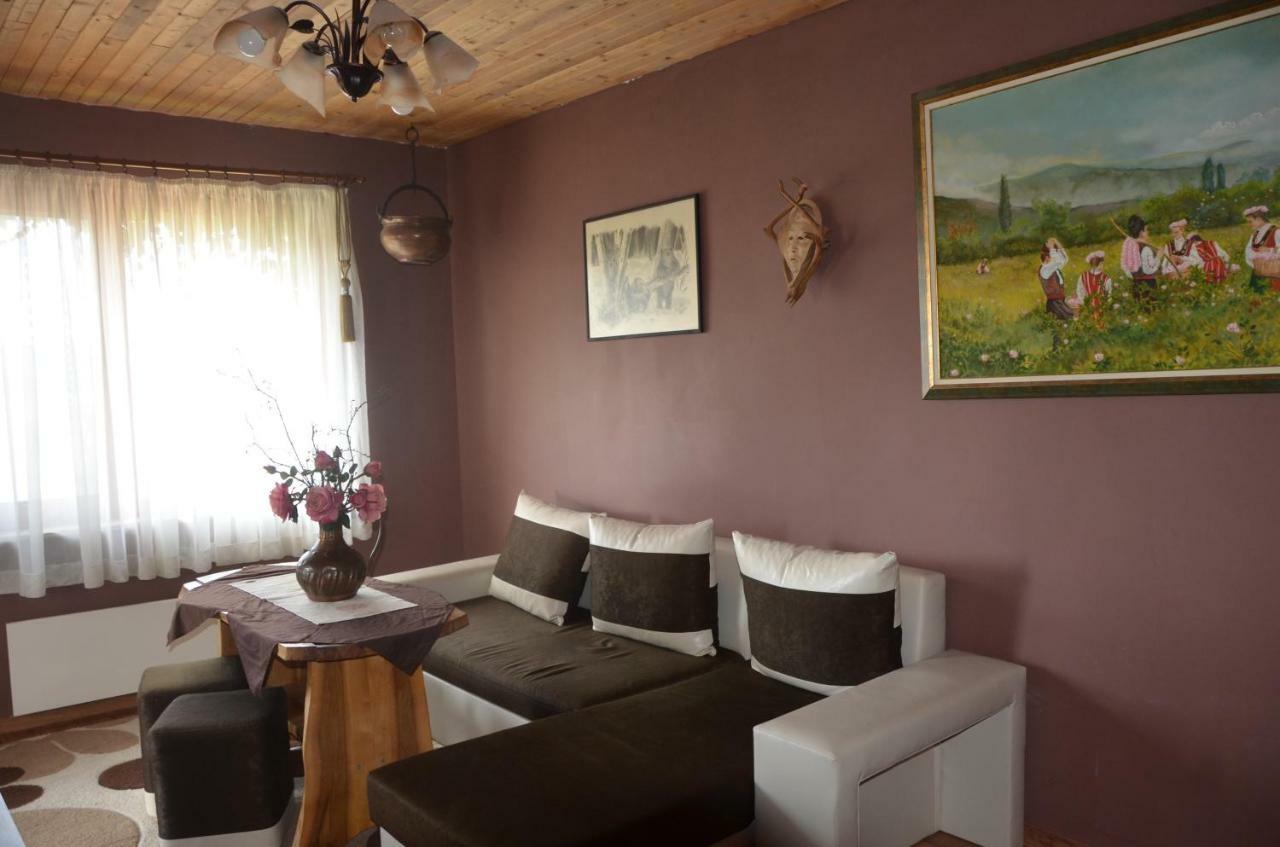 Guest house Amazonka *