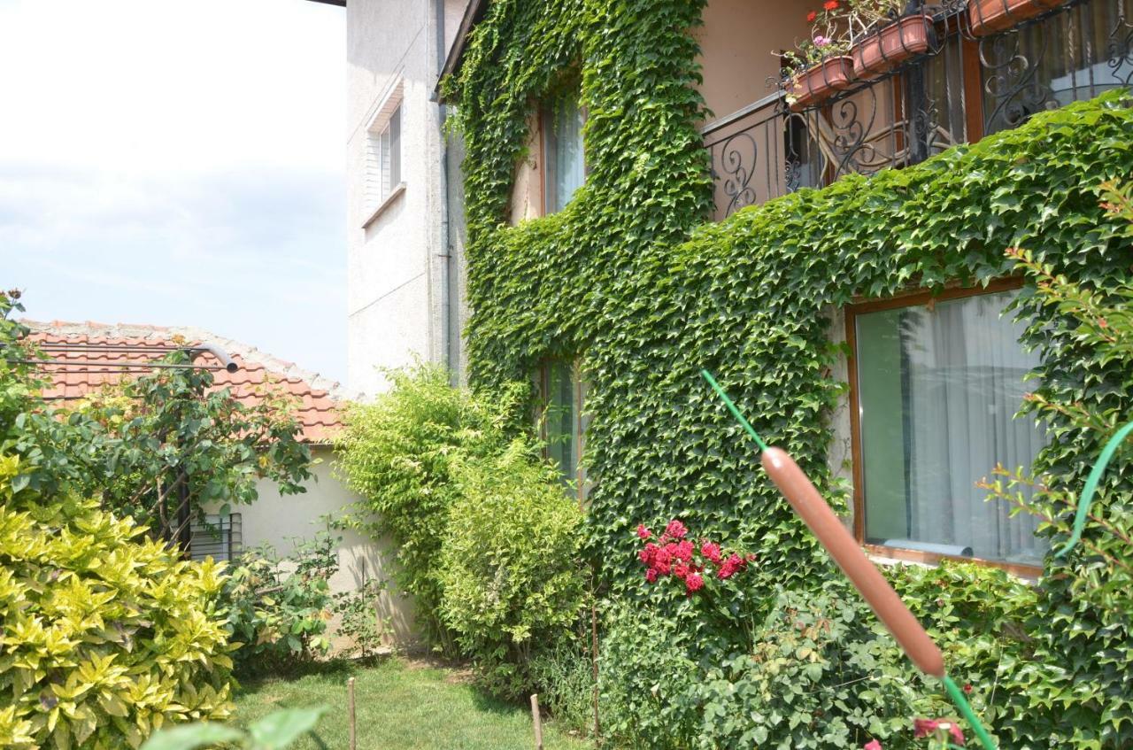 Guest house Amazonka *