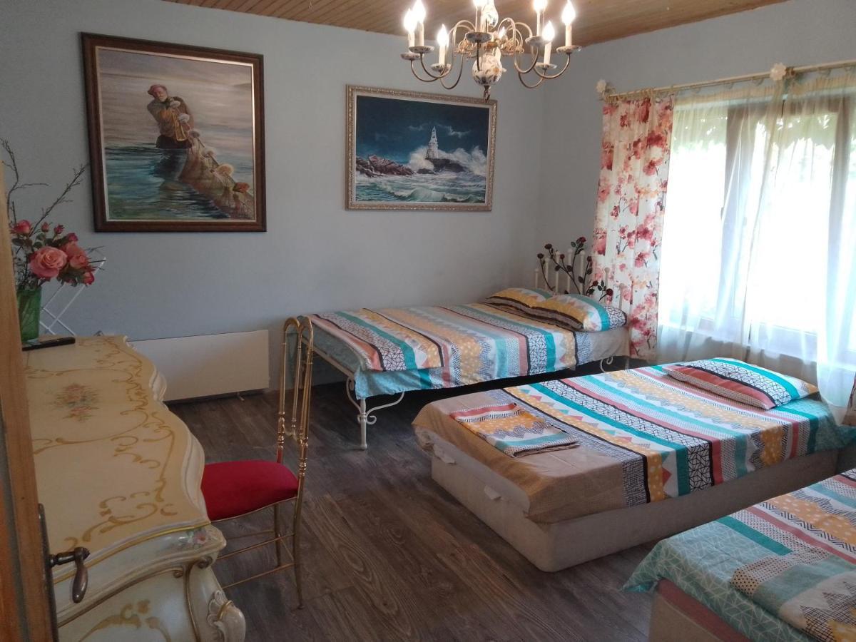 Guest house Amazonia